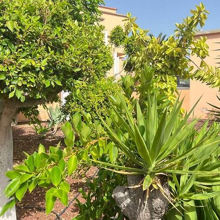 Ocean View Apartment In Orlando Costa Adeje  Esterno foto