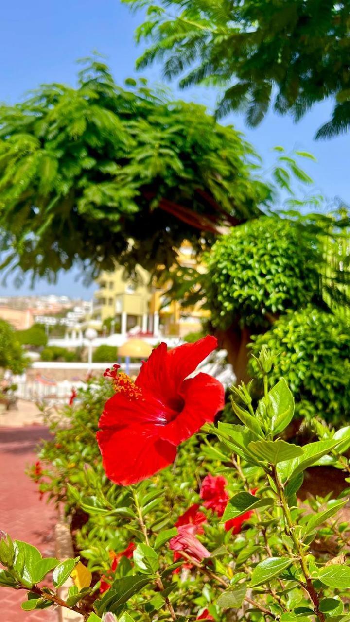 Ocean View Apartment In Orlando Costa Adeje  Esterno foto